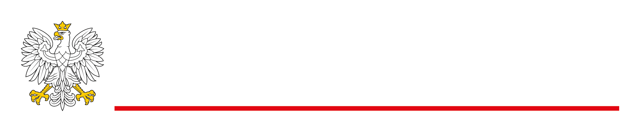 02_znak_ siatka_podstawowy_kolor_ciemne_tlo
