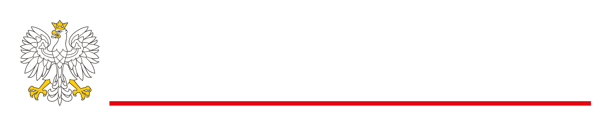 06_znak_ siatka_uproszczony_kolor_ciemne_tlo